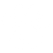 Pet medical care icon