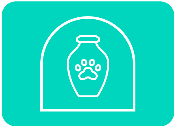 pet medical exams icon