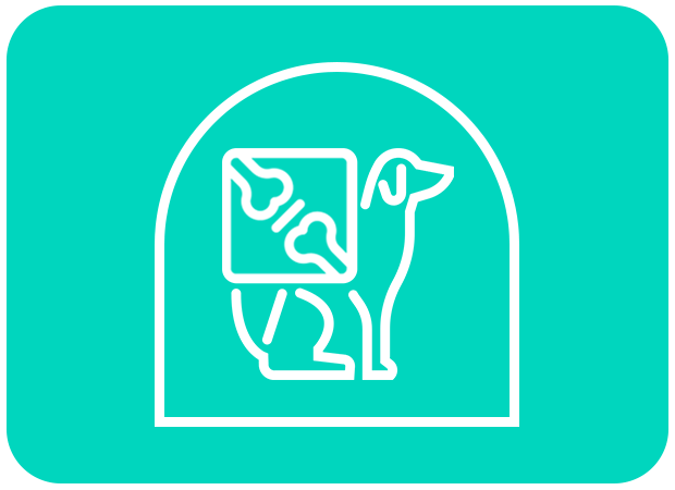 pet medical exams icon