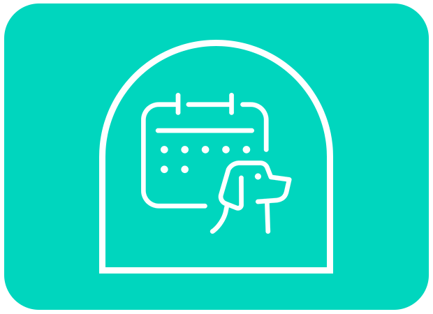 pet medical exams icon