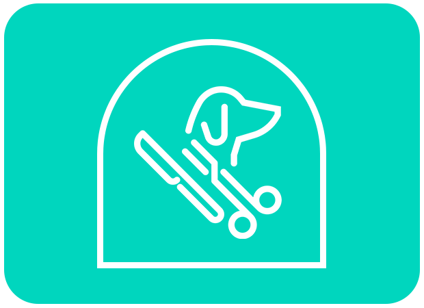 pet medical exams icon