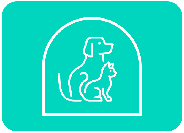 pet medical exams icon