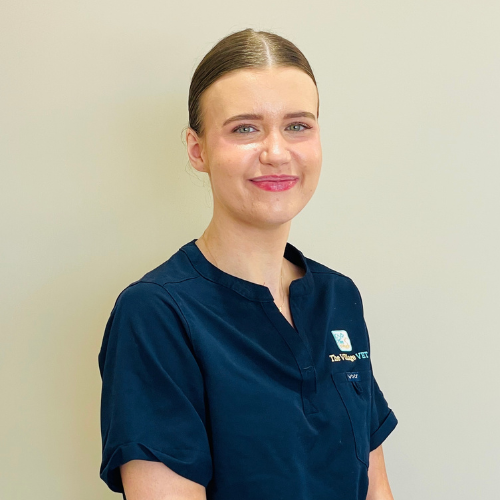 The Village Vet favicon